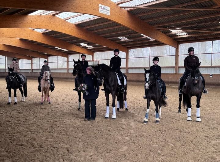 Dressurlehrgang bei Martina Binnenbrücker